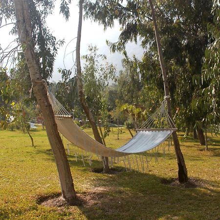 Hotel Los Palomos Lunahuana Ngoại thất bức ảnh